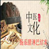 朱氏堂慧创专卖店
