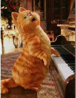 想美家贸易商行淘宝店(欢迎大量批发),『江苏商