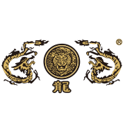 龙旗舰店