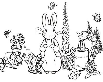 胖兔子的村舍花园