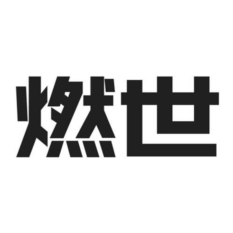 燃世电器旗舰店