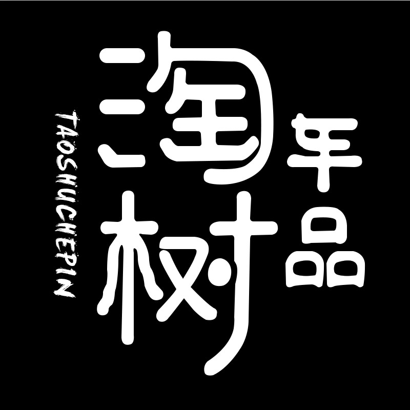 淘树汽车用品专营店