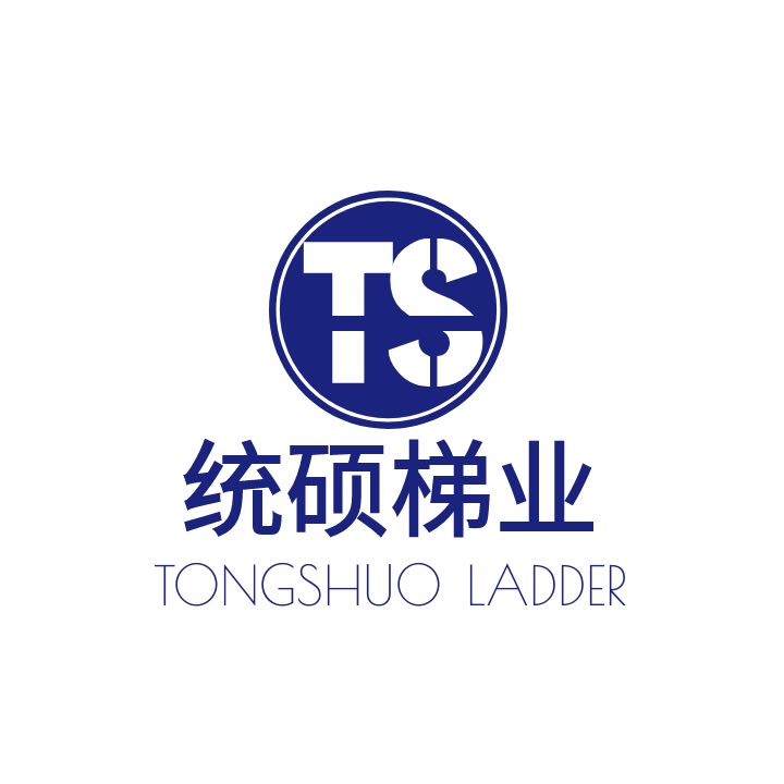 统硕旗舰店