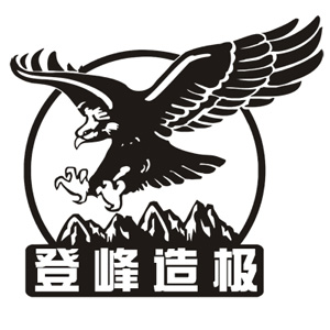 登峰造极车品专营店