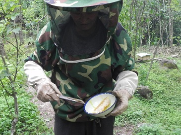 周正龙高山富硒蜂蜜土特产