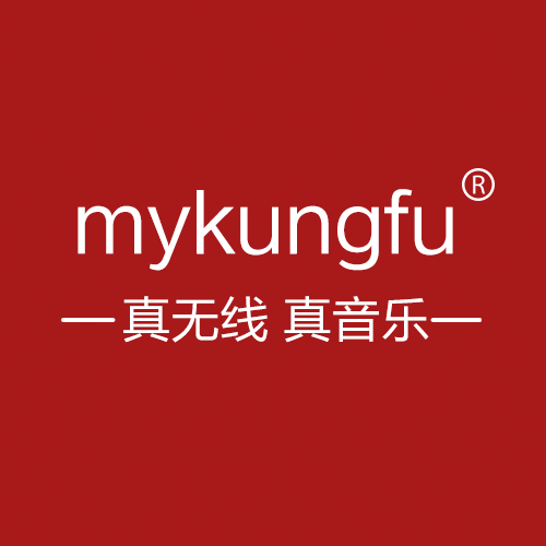 mykungfu数码旗舰店
