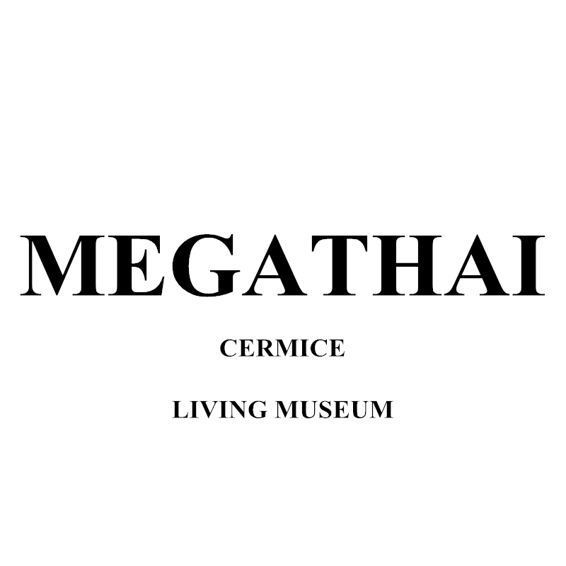  MEGATHAI