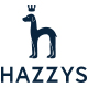  hazzys官方店