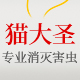 猫大圣旗舰店