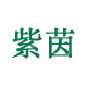紫茵旗舰店
