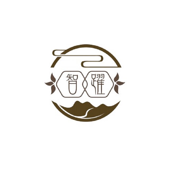 智跃旗舰店