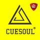 CUESOUL企业官方店