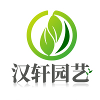 汉轩摩曼专卖店
