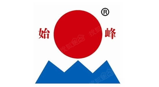 ʼ嶫ɹ