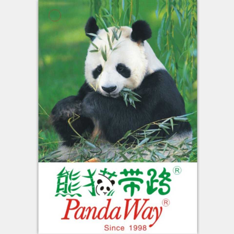 熊猫带路pandaway熊猫城