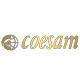 coesam旗舰店