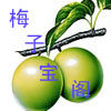 梅子宝阁
