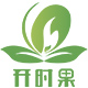 开时果旗舰店
