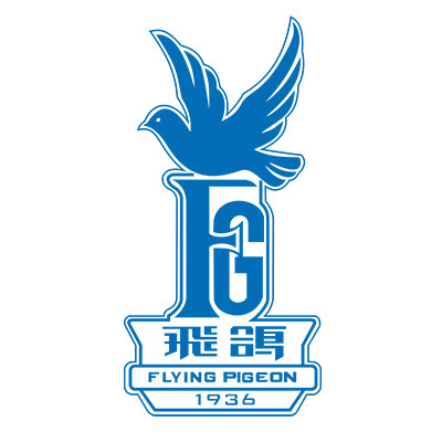 飞鸽涵浩专卖店