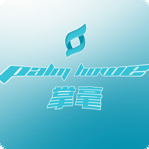 掌毫数码专营店