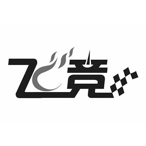 飞竞车品专营店