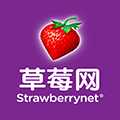 草莓网海外专营店