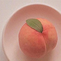 桃壳旗舰店