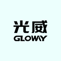 Gloway光威存储旗舰店