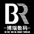 博瑞数码专营店