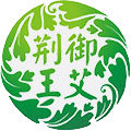 荆王御艾常亮专卖店