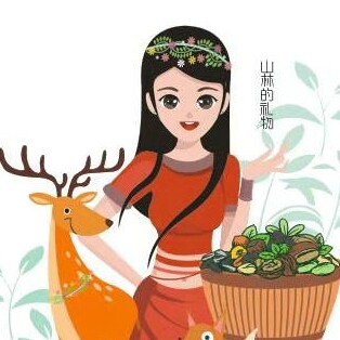 桃妮食品旗舰店