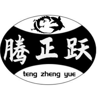 腾正跃旗舰店