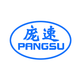 庞速车品旗舰店