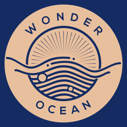 wonderocean运动旗舰店