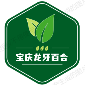宝庆龙牙百合农产品企业店