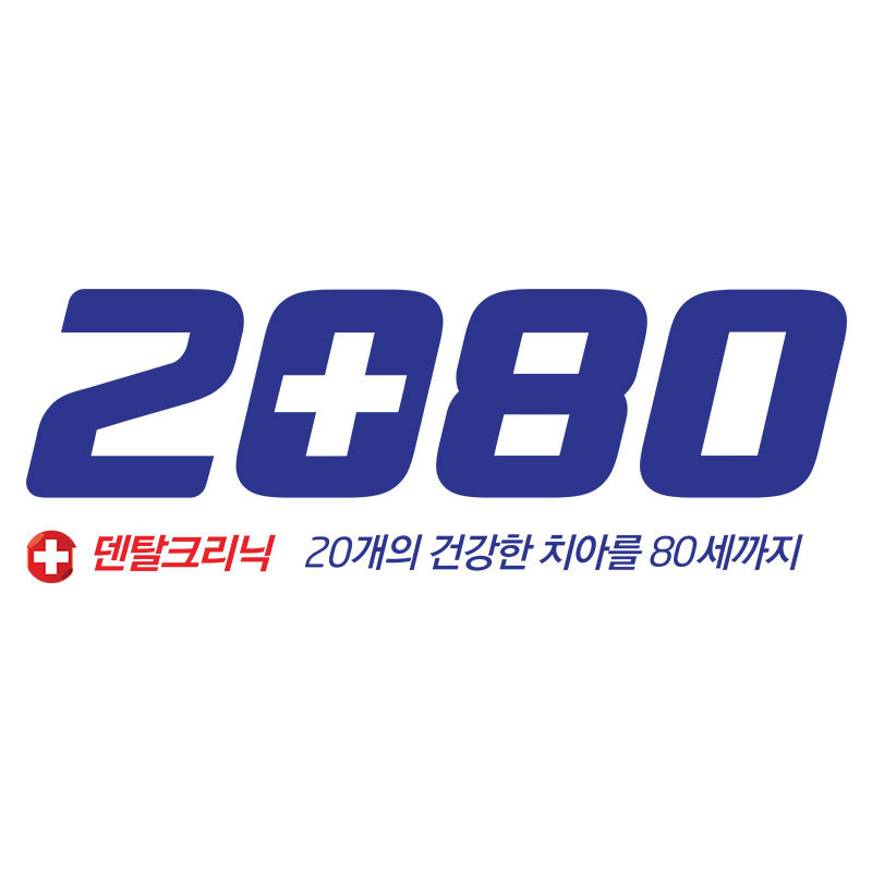 2080旗舰店