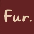 FurFur 周末小狗