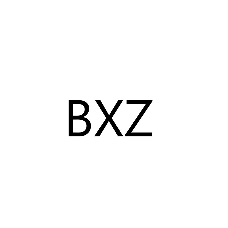 BXZ电声科技