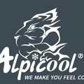 Alpicool冰虎车载冰箱工厂店