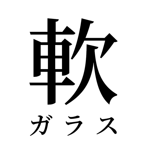 日本正品软玻璃