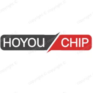 HOYOU CHIP皓有芯固态硬盘工厂店