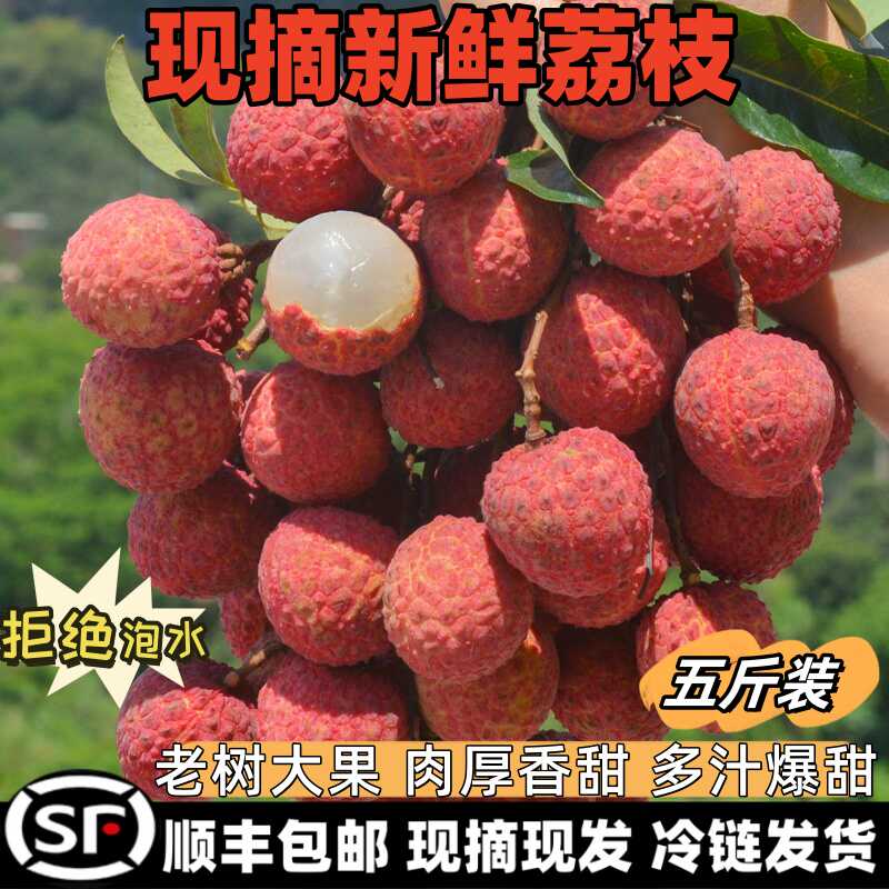 潮汕阿公鲜果店荔枝油甘橄榄龙眼三华李