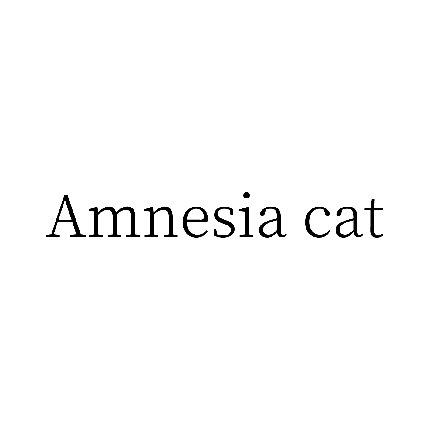 Amnesia cat失忆猫 优喆针织