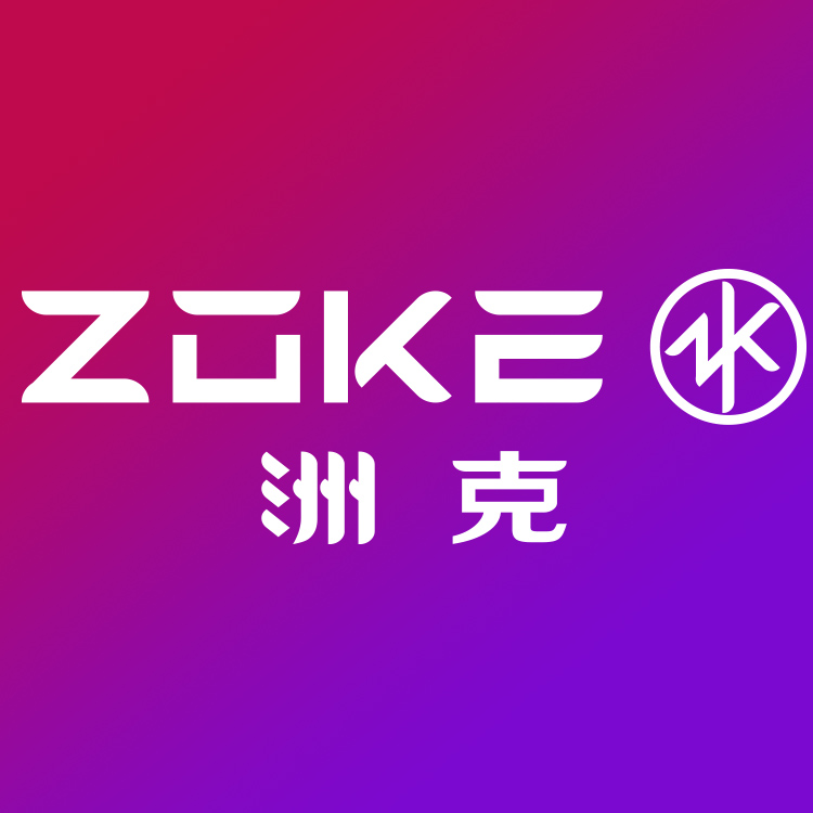 ZOKE洲克游泳装备品牌店