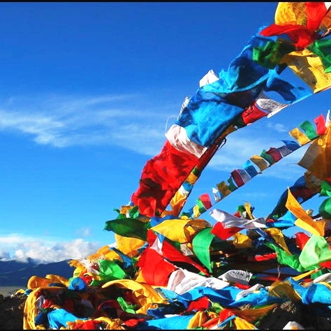  西藏圣美土特产