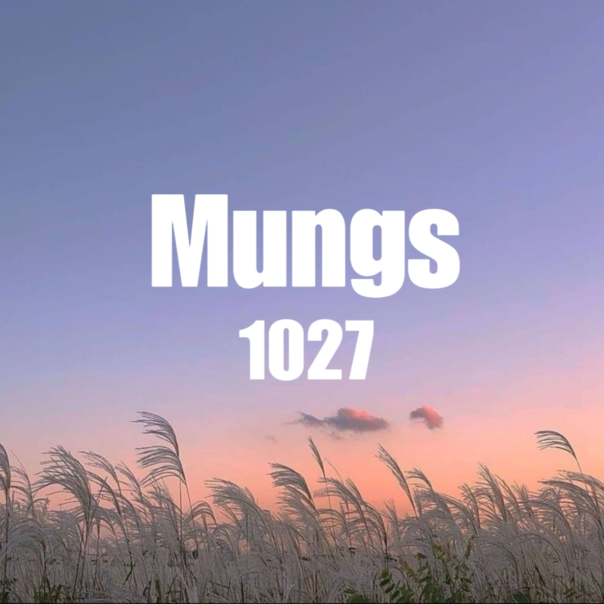 Mungs 1027