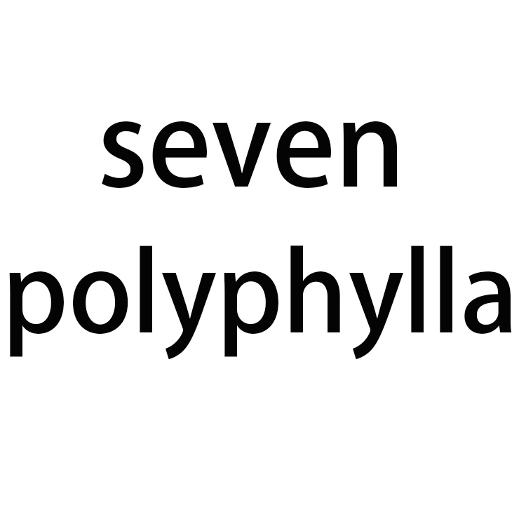 七叶Seven Polyphylla