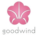 goodwind美容仪品牌店