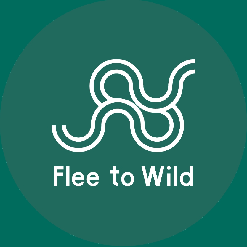 今日多云 Flee to Wild