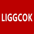 LIGGCOK企业店